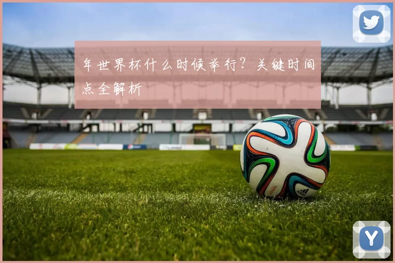 年世界杯什么时候举行?关键时间点全解析