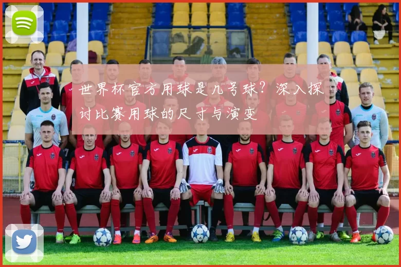 世界杯官方用球是几号球?深入探讨比赛用球的尺寸与演变