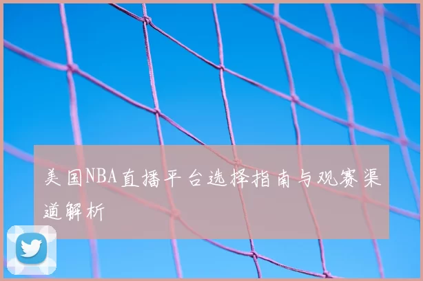 美国NBA直播平台选择指南与观赛渠道解析