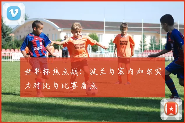 世界杯焦点战:波兰与塞内加尔实力对比与比赛看点