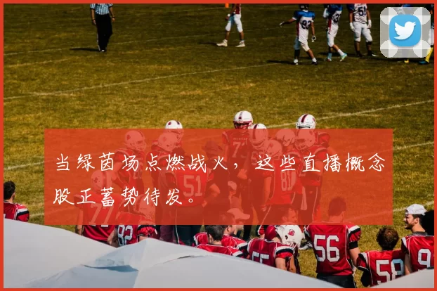 当绿茵场点燃战火,这些直播概念股正蓄势待发。