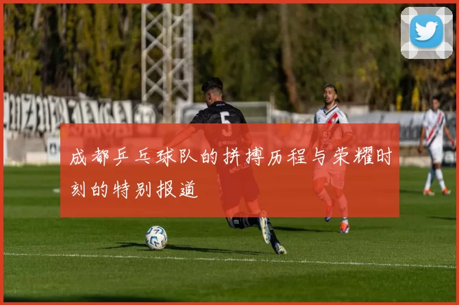 成都乒乓球队的拼搏历程与荣耀时刻的特别报道