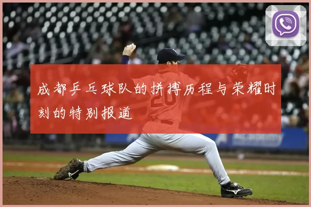 成都乒乓球队的拼搏历程与荣耀时刻的特别报道