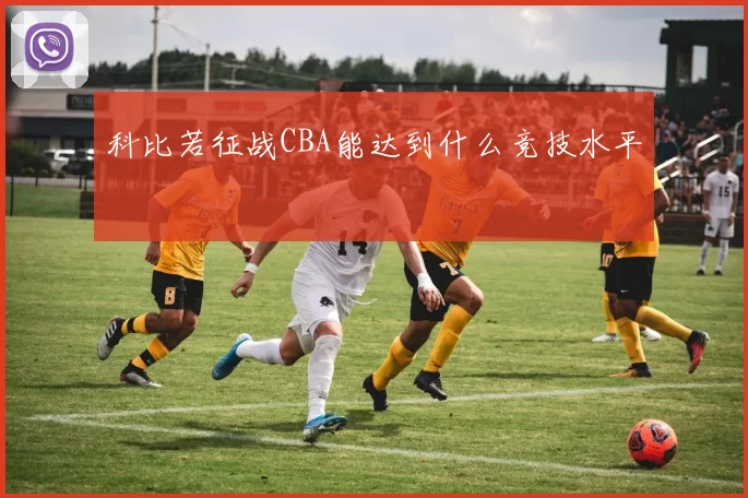 科比若征战CBA能达到什么竞技水平