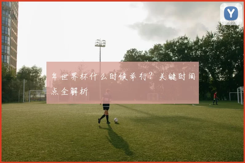年世界杯什么时候举行?关键时间点全解析